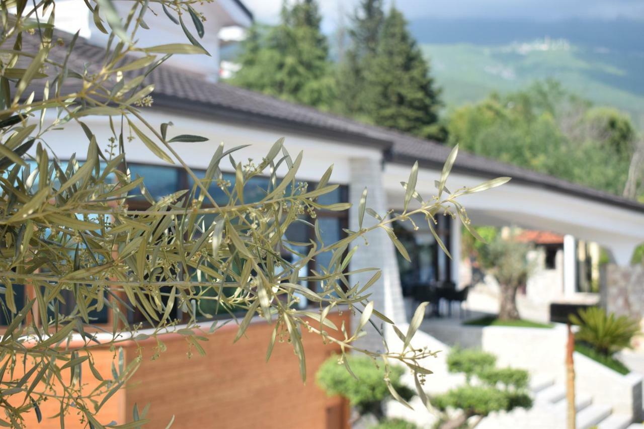 Chateau Linza Resort Тирана Екстер'єр фото