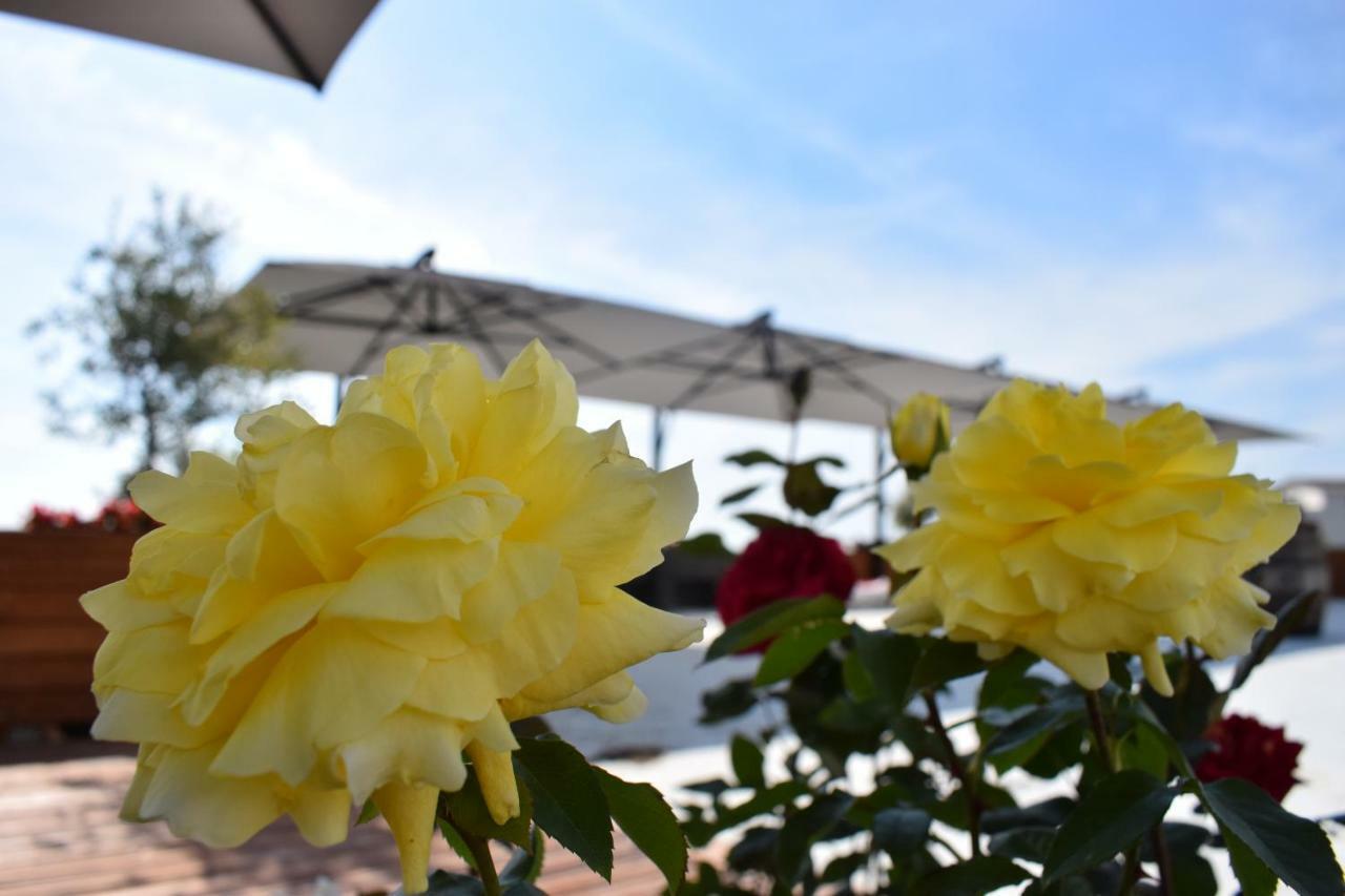 Chateau Linza Resort Тирана Екстер'єр фото
